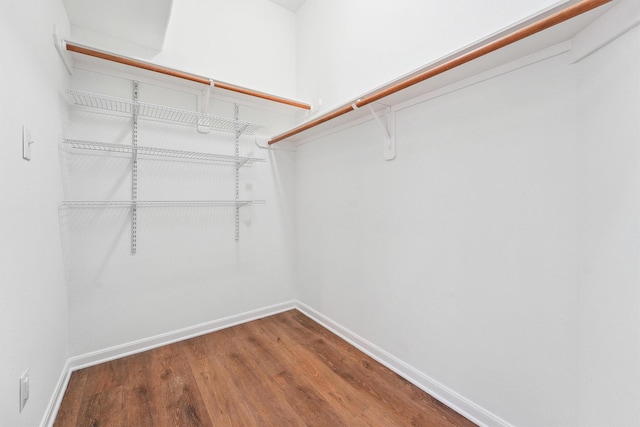 spacious closet featuring hardwood / wood-style floors