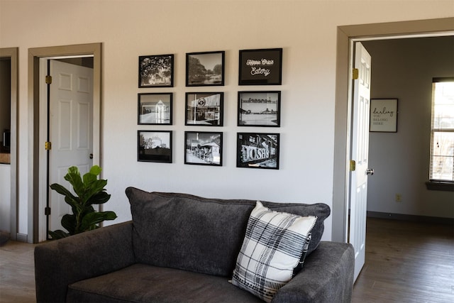 living room featuring hardwood / wood-style floors