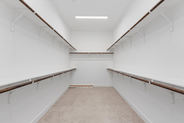 walk in closet with light carpet