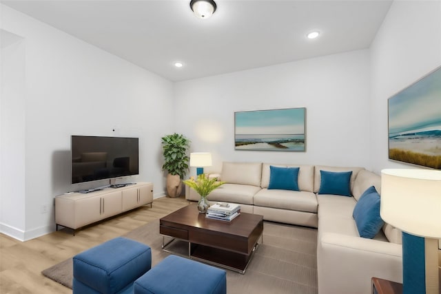 living room featuring hardwood / wood-style flooring