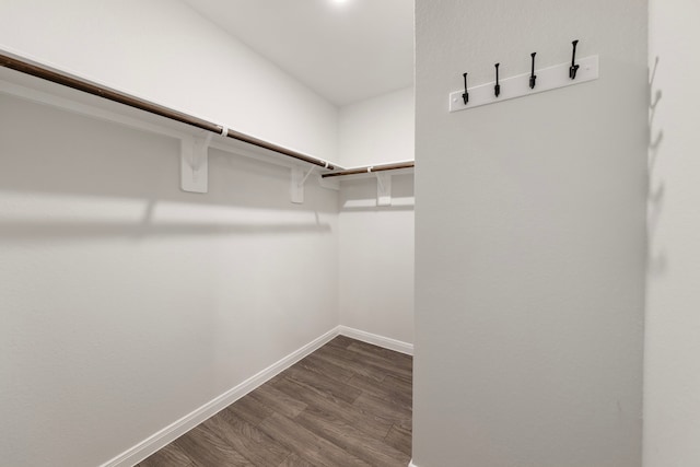 walk in closet with hardwood / wood-style flooring