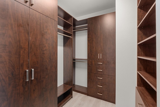 walk in closet with light wood-type flooring