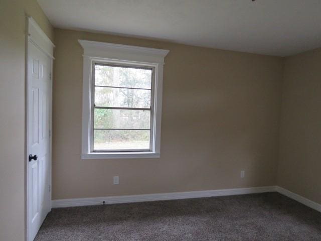 unfurnished room featuring carpet