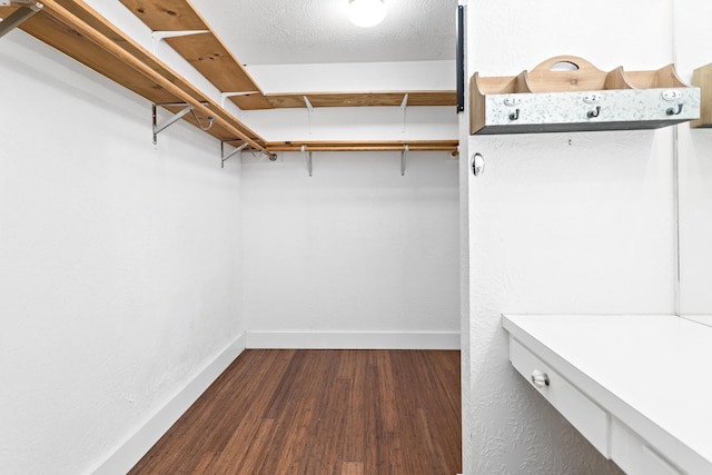 spacious closet featuring dark wood-type flooring