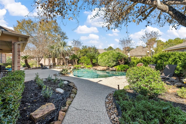 view of swimming pool with a patio