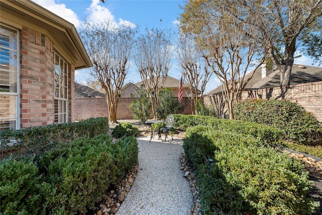 view of yard with a patio