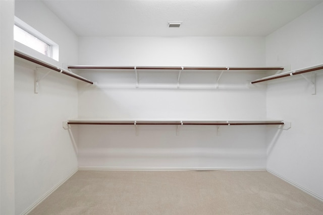 spacious closet with light colored carpet