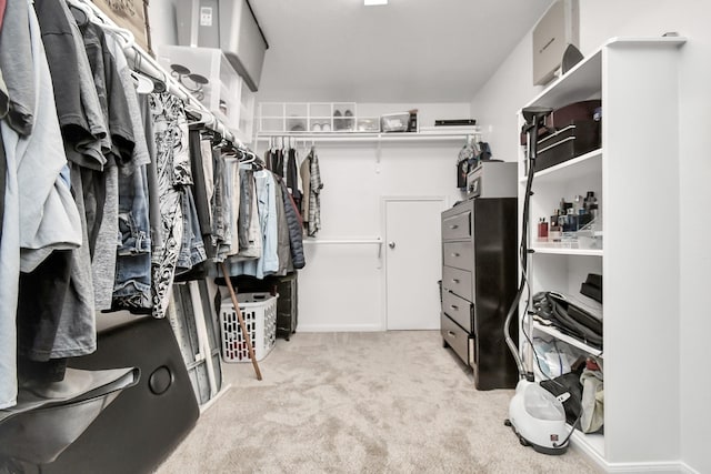 spacious closet with light colored carpet