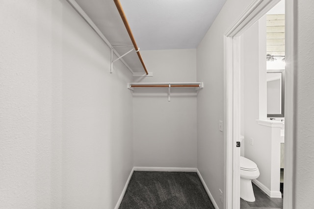 spacious closet featuring dark colored carpet