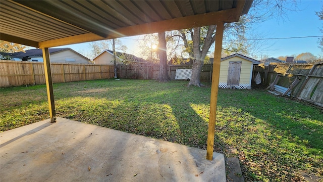 view of yard with a patio and a storage shed