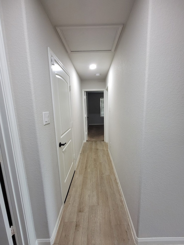 corridor with light hardwood / wood-style flooring