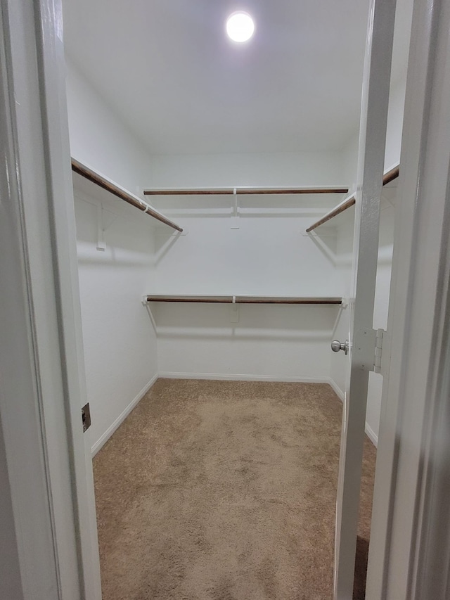 walk in closet featuring light colored carpet