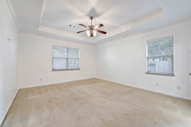 carpeted empty room featuring a wealth of natural light, a raised ceiling, and ornamental molding