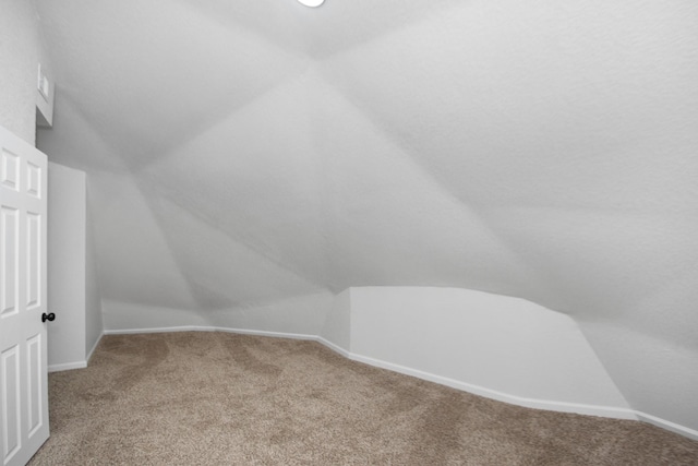 additional living space with carpet and lofted ceiling