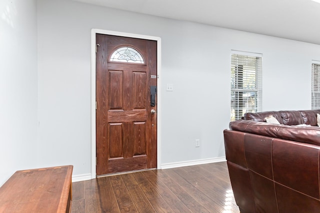 foyer entrance featuring dark wood-type flooring