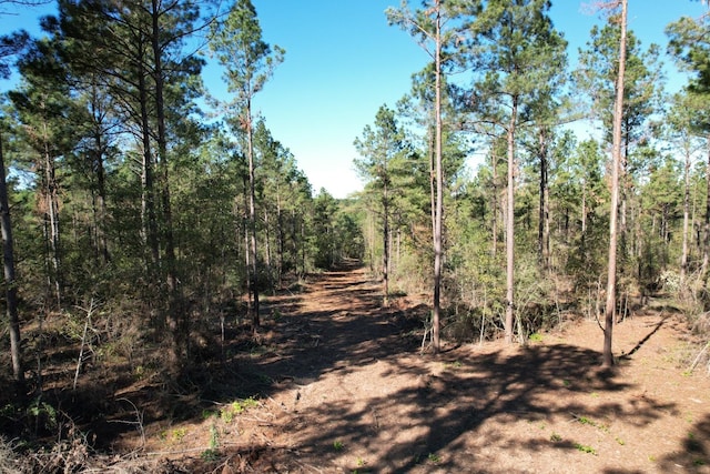 Listing photo 2 for TBD-A Highway 84, Mount Enterprise TX 75681