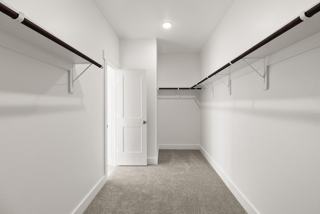 walk in closet featuring carpet flooring