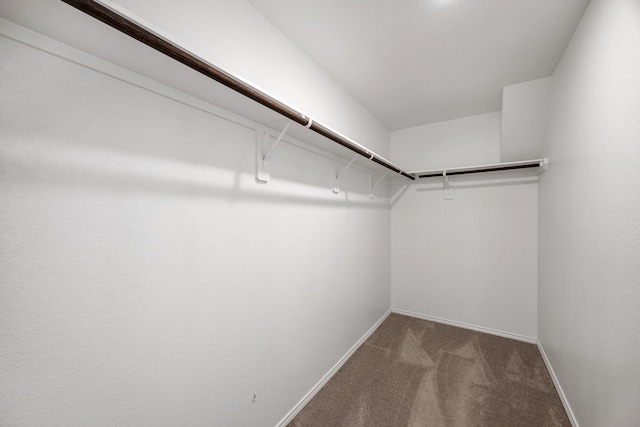 spacious closet with carpet