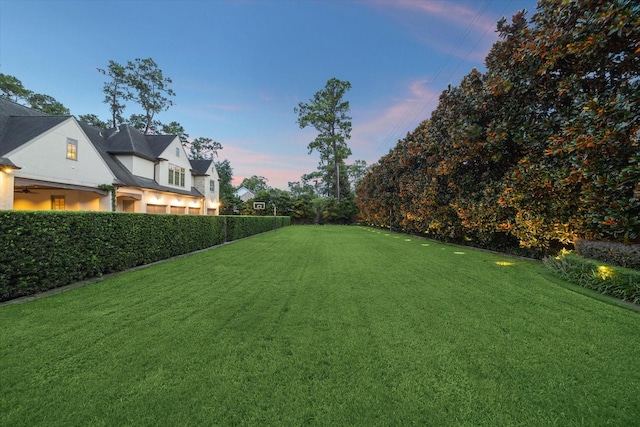 view of yard at dusk