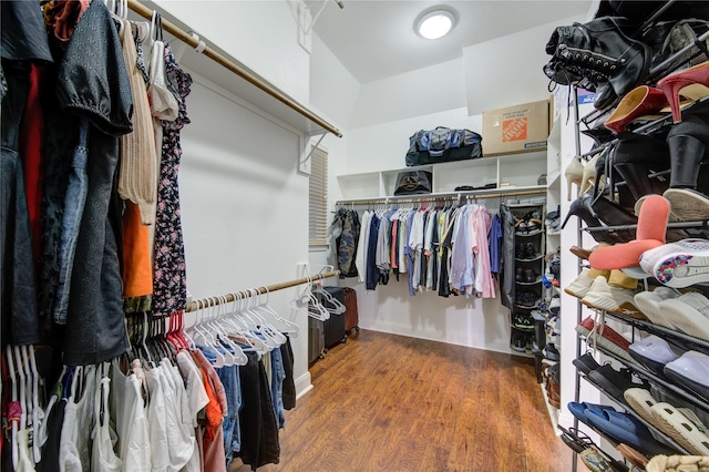 spacious closet with hardwood / wood-style flooring