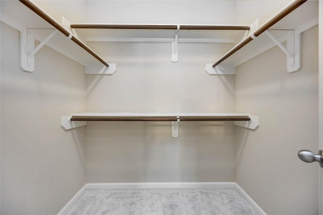 walk in closet featuring carpet flooring