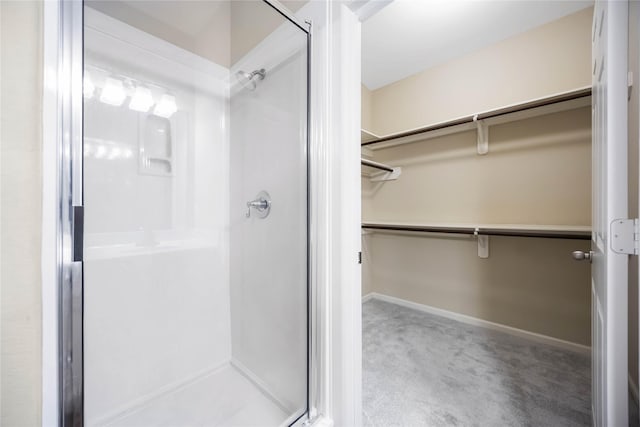 bathroom featuring a shower with door