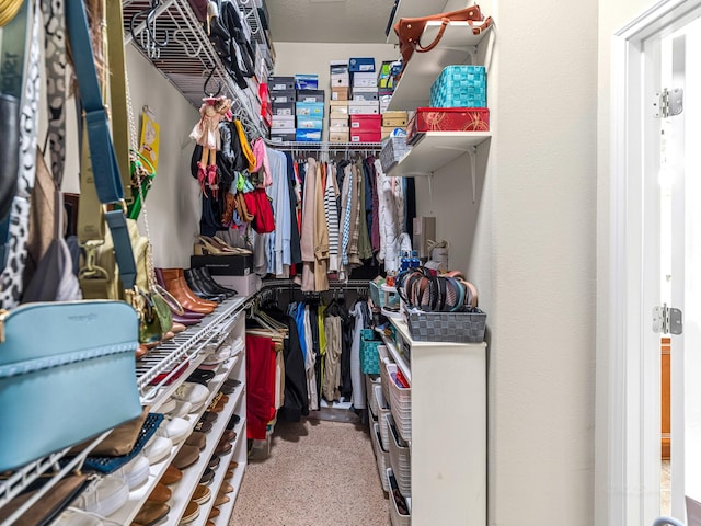 view of spacious closet