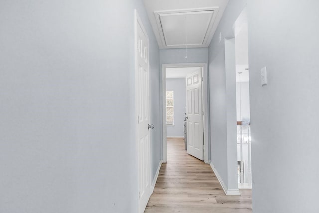 corridor featuring light hardwood / wood-style flooring