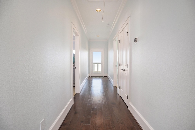 hallway featuring crown molding and dark wood-type flooring