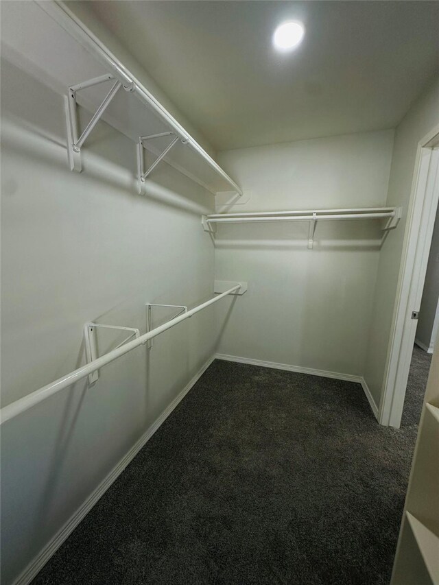 walk in closet with dark colored carpet