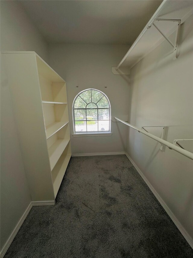 walk in closet with dark colored carpet