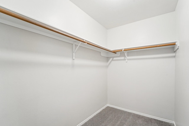 spacious closet with carpet floors