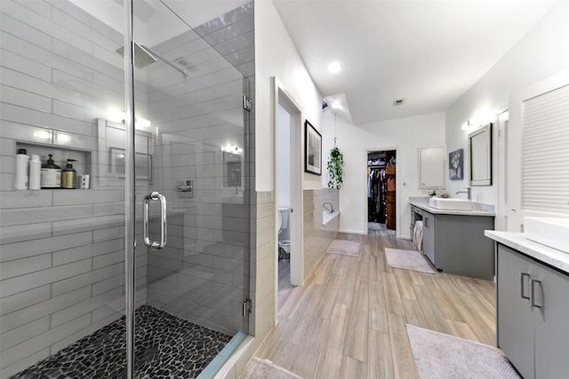 bathroom with hardwood / wood-style flooring, toilet, a shower with shower door, and vanity