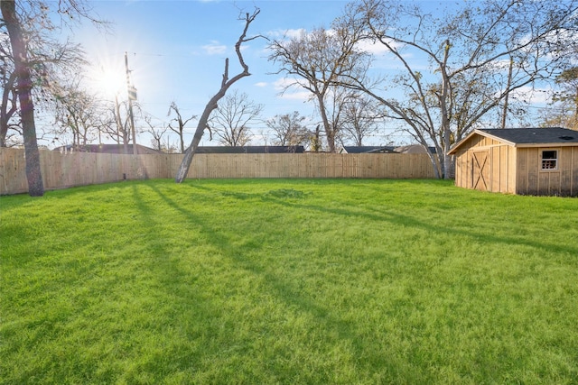 view of yard featuring a shed