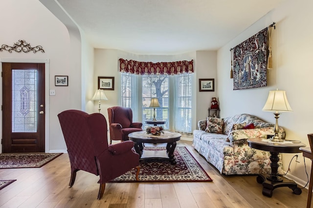 living room featuring light hardwood / wood-style flooring