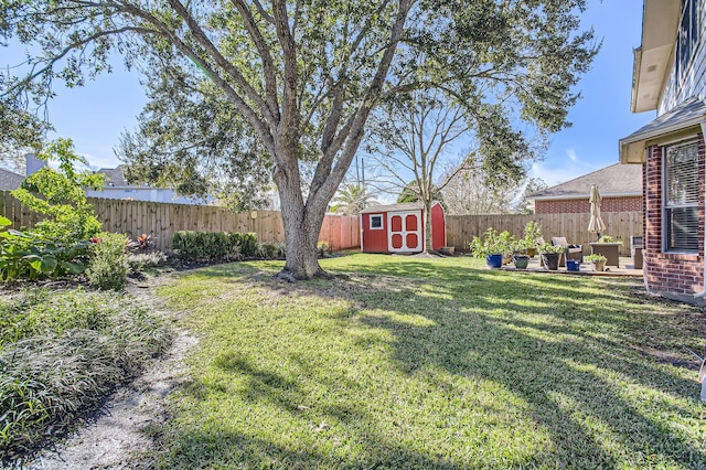 view of yard with a storage shed