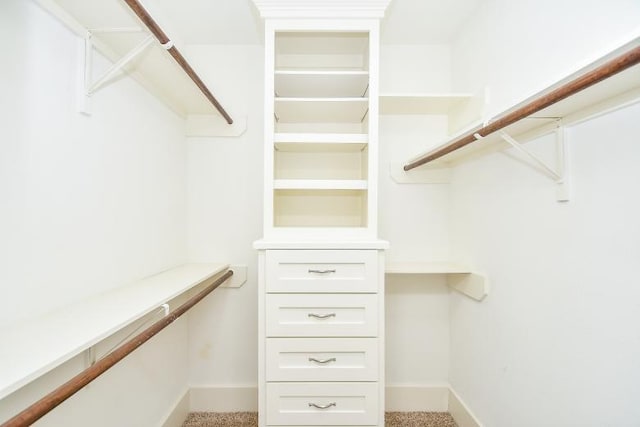 walk in closet featuring light carpet