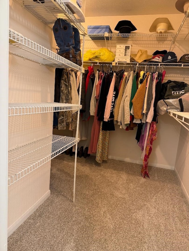 walk in closet featuring carpet flooring