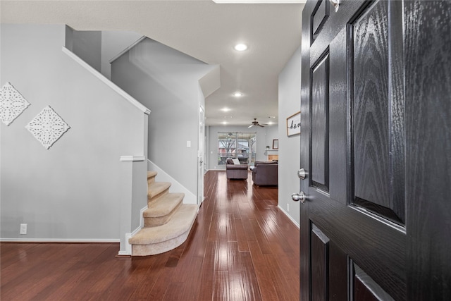 foyer featuring dark hardwood / wood-style flooring and ceiling fan