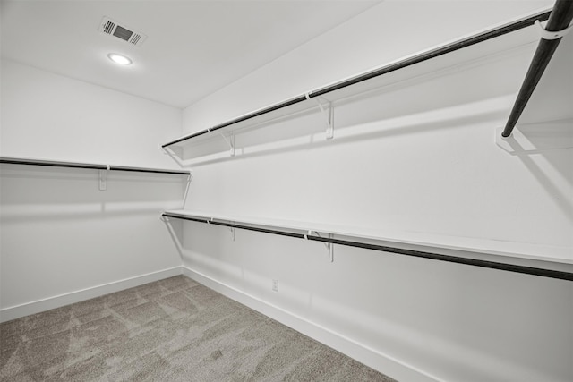 spacious closet with light colored carpet