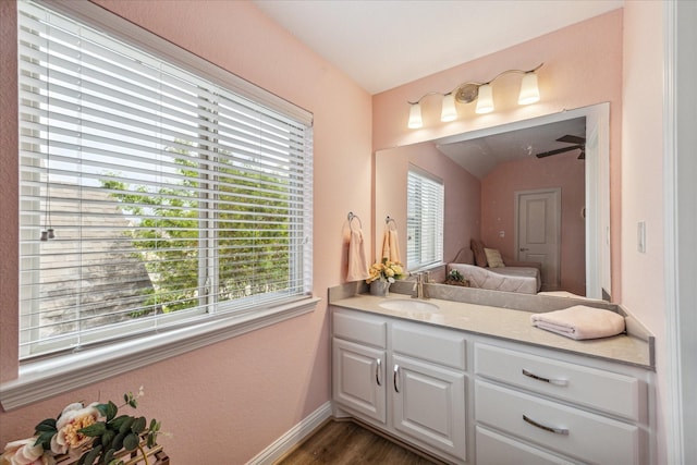 bathroom featuring hardwood / wood-style flooring, vanity, and a wealth of natural light