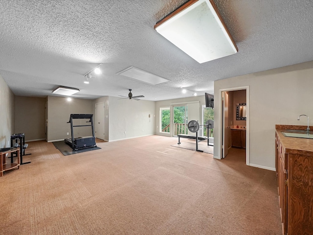 workout room featuring light colored carpet, sink, and a textured ceiling