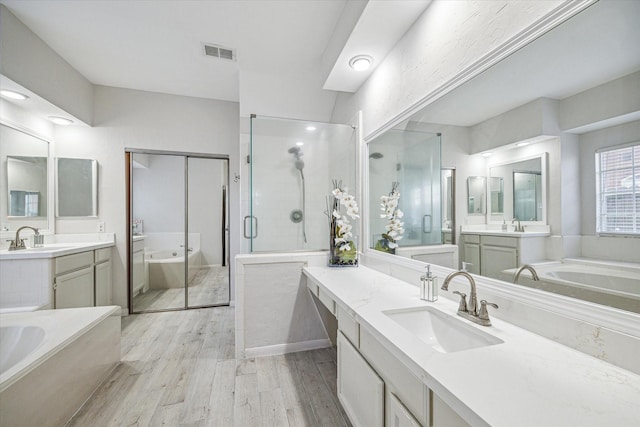 bathroom featuring plus walk in shower, wood-type flooring, and vanity