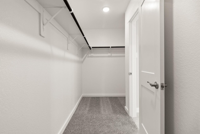 walk in closet with carpet floors