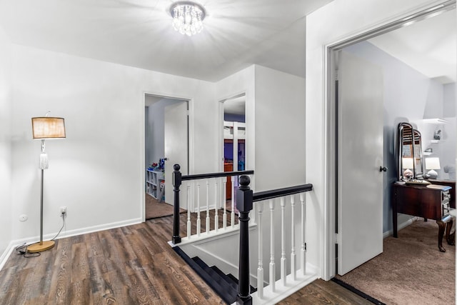 hall featuring dark wood-type flooring