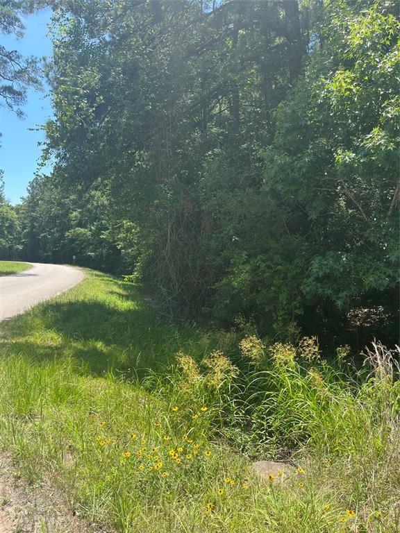 00 Appian Way, Roman Forest TX, 77357 land for sale