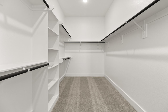 spacious closet featuring carpet flooring