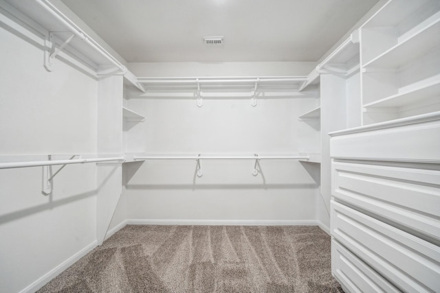 spacious closet with carpet floors