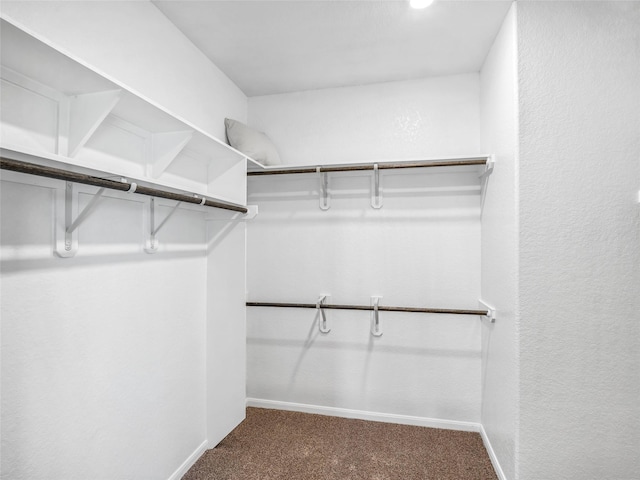 spacious closet with carpet flooring