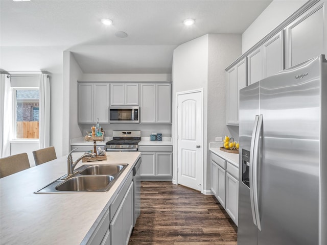 kitchen with stainless steel appliances, dark wood finished floors, a sink, and gray cabinetry